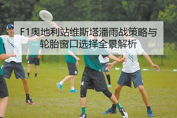 F1奥地利站维斯塔潘雨战策略与轮胎窗口选择全景解析